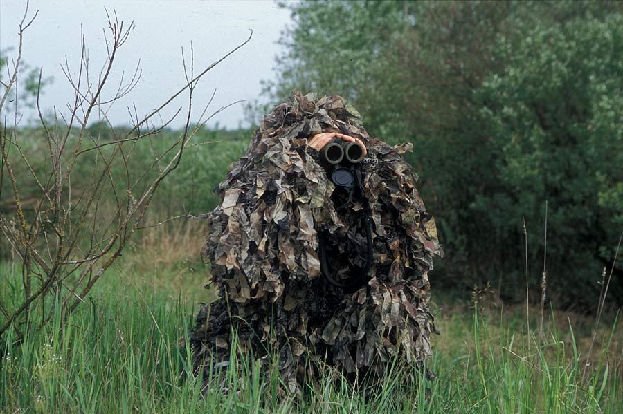 A bush with binoculars