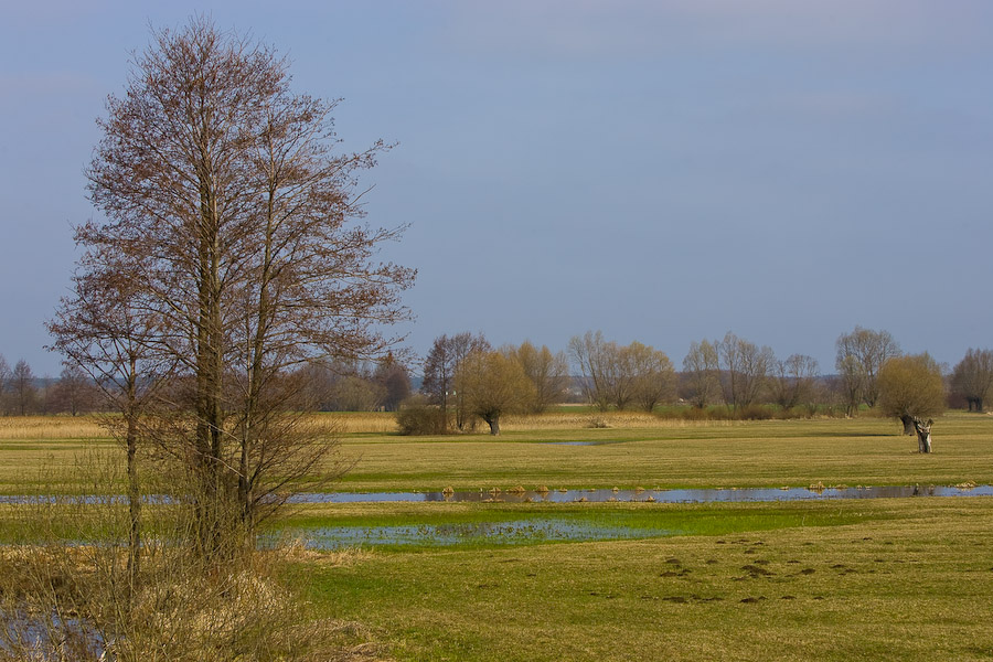 Overflow area near town Brok