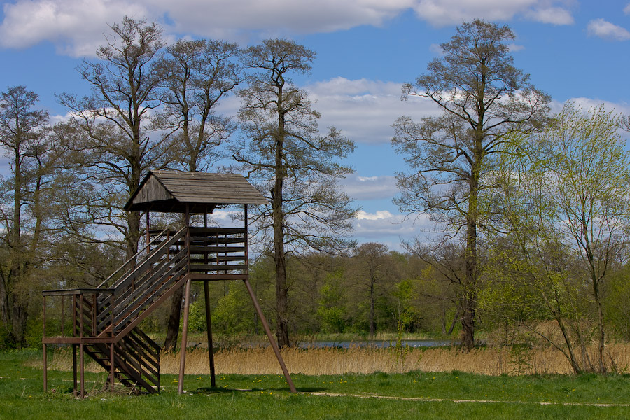 Raszyn ponds