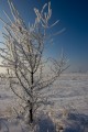 Laszczki - fields close to Warsaw